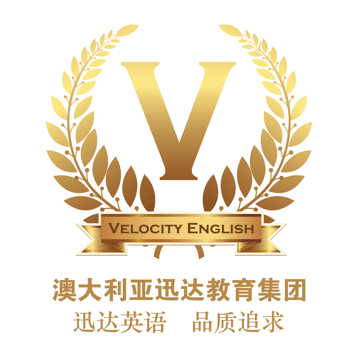Velocity English